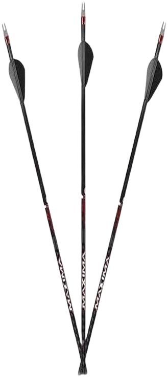 Carbon Express 3D & Competition Arrows
