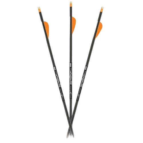 Carbon Express Target Arrows